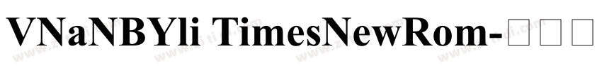 VNaNBYli TimesNewRom字体转换